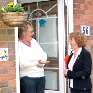 ¿Los paneles solares son gratis?