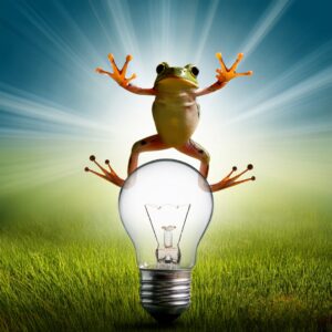 Leap into energy saving